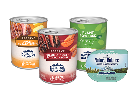 natural balance duck and potato wet food