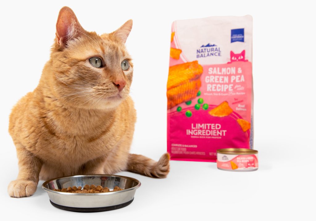 Cat eating Natural Balance Limited Ingredient food