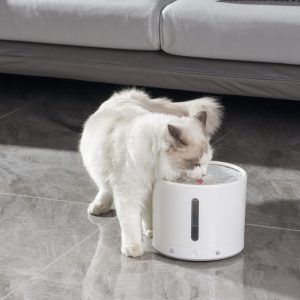 Cat drinking water from in-home water fountain.